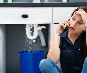 About Emergency plumbing pros Meshoppen, PA